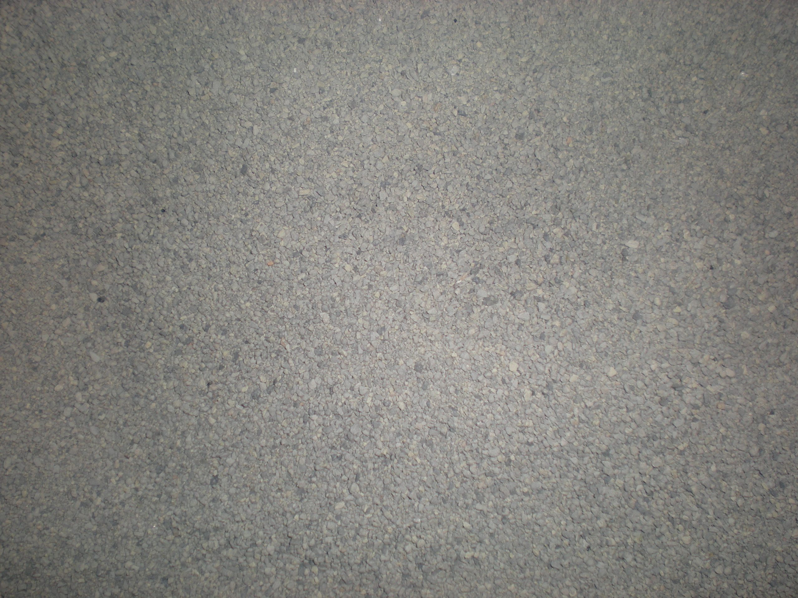 خاک گربه در نمای نزدیک